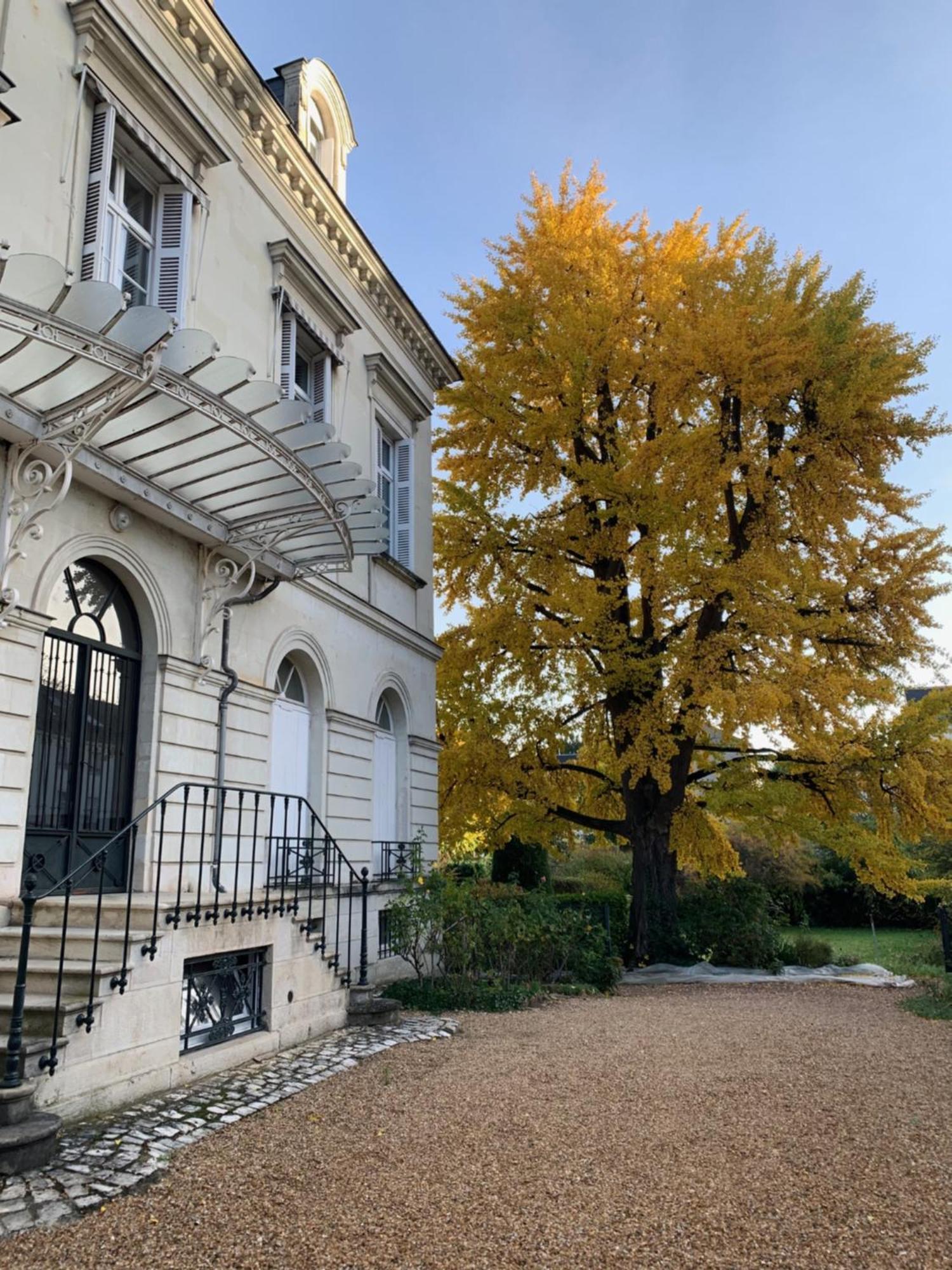Апартаменти A L'Abri Du Ginkgo Тур Екстер'єр фото